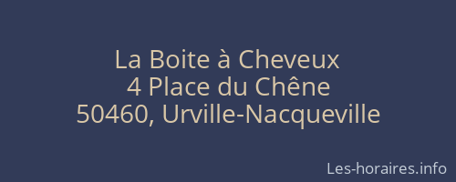 La Boite à Cheveux