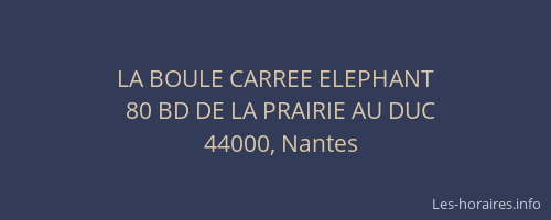 LA BOULE CARREE ELEPHANT