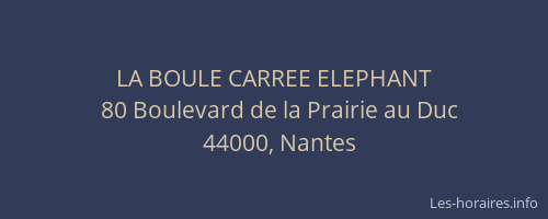 LA BOULE CARREE ELEPHANT