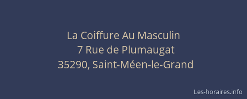 La Coiffure Au Masculin