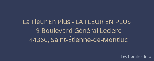 La Fleur En Plus - LA FLEUR EN PLUS