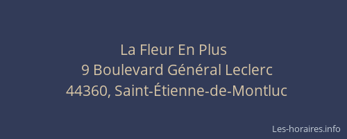 La Fleur En Plus