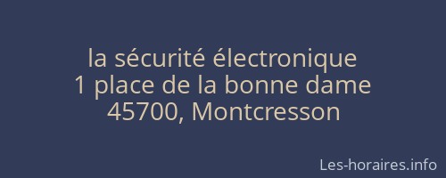 la sécurité électronique