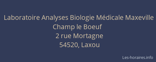 Laboratoire Analyses Biologie Médicale Maxeville Champ le Boeuf