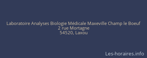 Laboratoire Analyses Biologie Médicale Maxeville Champ le Boeuf