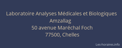 Laboratoire Analyses Médicales et Biologiques Amzallag