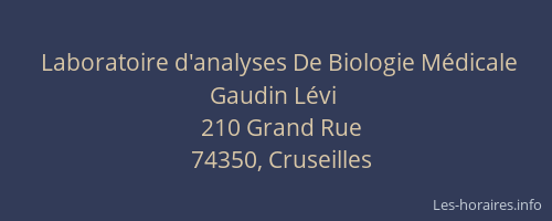 Laboratoire d'analyses De Biologie M&eacute;dicale Gaudin L&eacute;vi