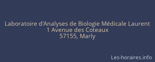 Laboratoire d'Analyses de Biologie M&eacute;dicale Laurent