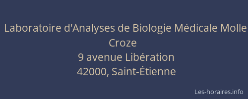 Laboratoire d'Analyses de Biologie Médicale Molle Croze