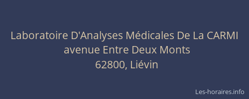 Laboratoire D'Analyses M&eacute;dicales De La CARMI