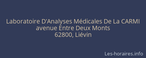 Laboratoire D'Analyses Médicales De La CARMI