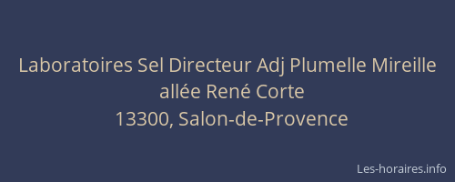 Laboratoires Sel Directeur Adj Plumelle Mireille