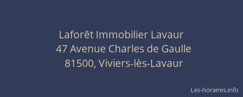 Lafor&ecirc;t Immobilier Lavaur