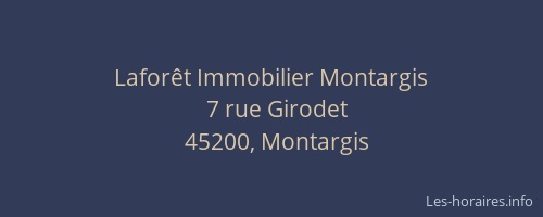 Lafor&ecirc;t Immobilier Montargis