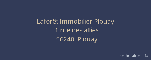 Lafor&ecirc;t Immobilier Plouay