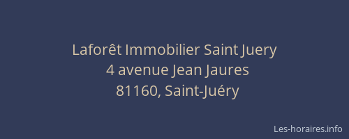 Lafor&ecirc;t Immobilier Saint Juery