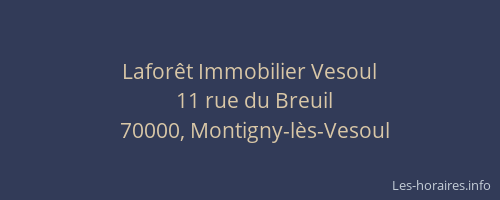 Lafor&ecirc;t Immobilier Vesoul