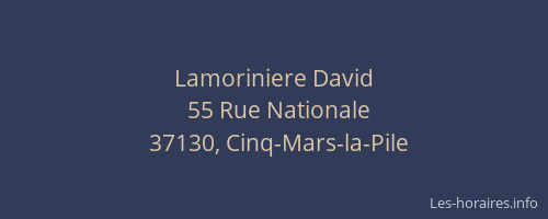 Lamoriniere David