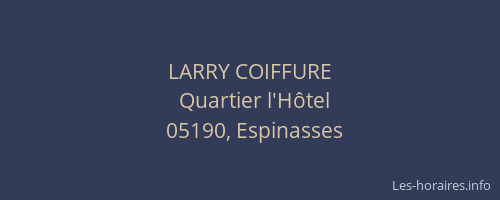 LARRY COIFFURE