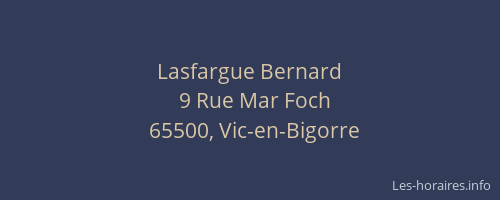 Lasfargue Bernard