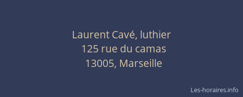 Laurent Cavé, luthier
