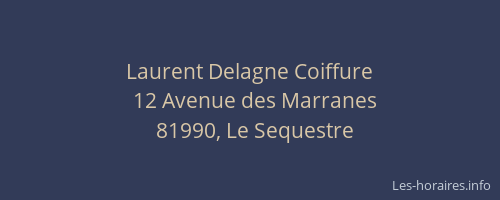 Laurent Delagne Coiffure