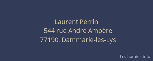 Laurent Perrin