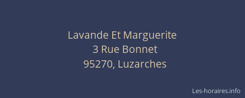 Lavande Et Marguerite