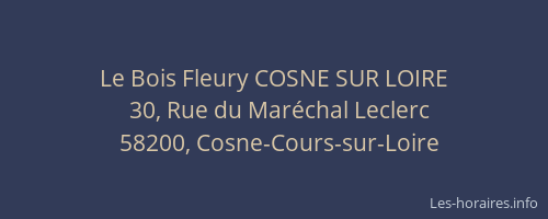 Le Bois Fleury COSNE SUR LOIRE