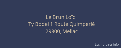 Le Brun Lo&iuml;c