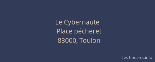 Le Cybernaute