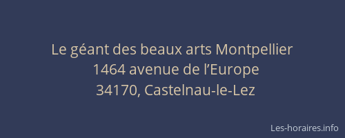 Le géant des beaux arts Montpellier