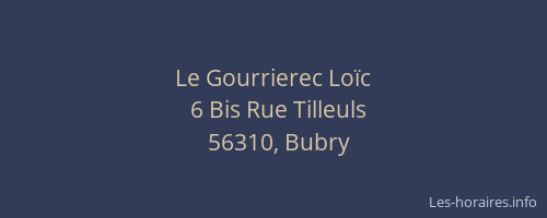 Le Gourrierec Lo&iuml;c