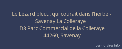Le Lézard bleu… qui courait dans l’herbe - Savenay La Colleraye