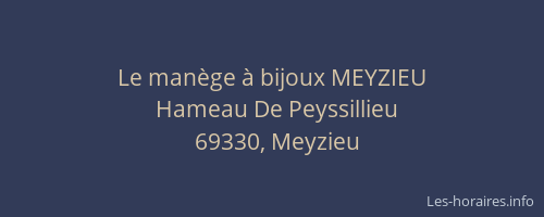 Le manège à bijoux MEYZIEU