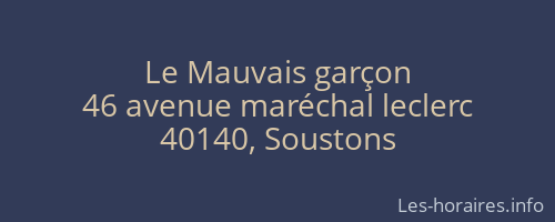 Le Mauvais garçon