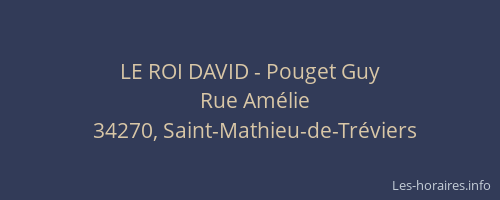 LE ROI DAVID - Pouget Guy