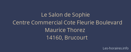Le Salon de Sophie