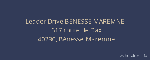 Leader Drive BENESSE MAREMNE