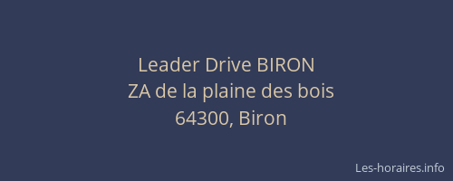 Leader Drive BIRON