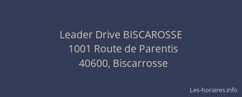Leader Drive BISCAROSSE