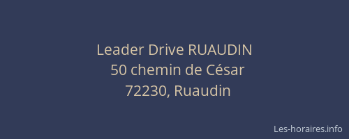 Leader Drive RUAUDIN