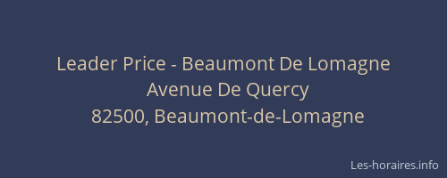 Leader Price - Beaumont De Lomagne