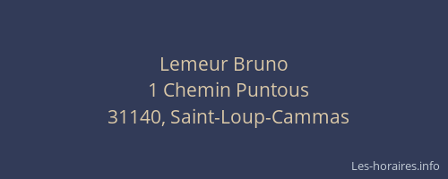 Lemeur Bruno