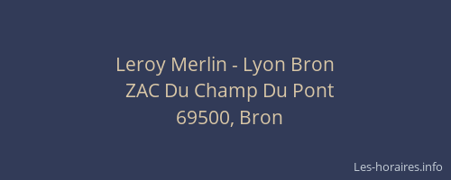 Leroy Merlin - Lyon Bron