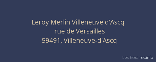Leroy Merlin Villeneuve d'Ascq