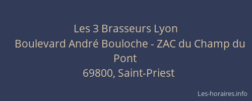 Les 3 Brasseurs Lyon