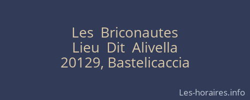 Les  Briconautes