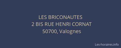 LES BRICONAUTES