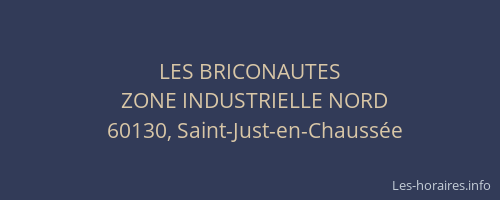 LES BRICONAUTES